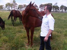 Curtis Gavin inspecting his new yearling at Makybe Stud ....... Strategic x In The Club colt