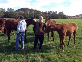 John with Adam White in the paddock with some Weanlings...