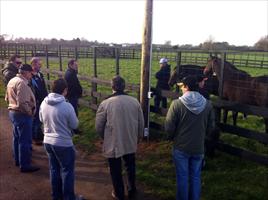 Leon Casey talks about the top class mares on the farm
