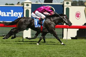 Lonhro wins to the roar of the crowd in a memorable  Australian Cup