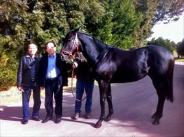 Michael Lam and Mr Ng with Lonhro/Another Time yearling