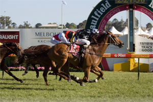 Railings wins our first Caulfield Cup