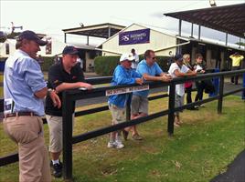 Sydney Easter Yearling Sales 2012
