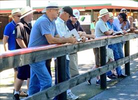 With part of our crew inspecting yearlings