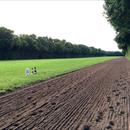 Chantilly would have to be one of the most beautiful horse training centres I have ever seen... Horses are so relaxed