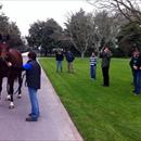 Hawkes Racing tour at The Oaks Stud  looking at Maluckyday's brother Darci Brahma x Natalie Wood colt