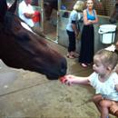 Jason Taylor's daughter Jessica giving Stratford carrots after his win