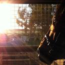 Love Conquers All casts his eye over morning trackwork