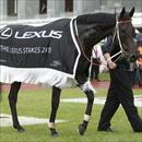Maluckyday parades with the LEXUS rug