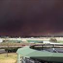 Smoke from the NSW fires turns day into night Rosehill Gardens