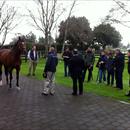 Steve Till talks to the group about their new Stallion 'Rip Van Winkle'