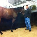 Steve looking at his Redoute's Choice filly...