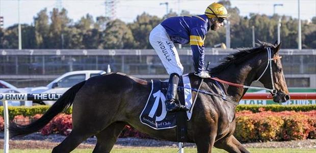 Notio - Canterbury Park - 30/08/2017