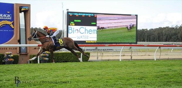 Showtime - Wyong - 1/9/2017