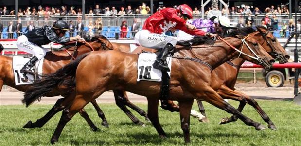 GirlGoneRockin' - Flemington - 09/11/2013