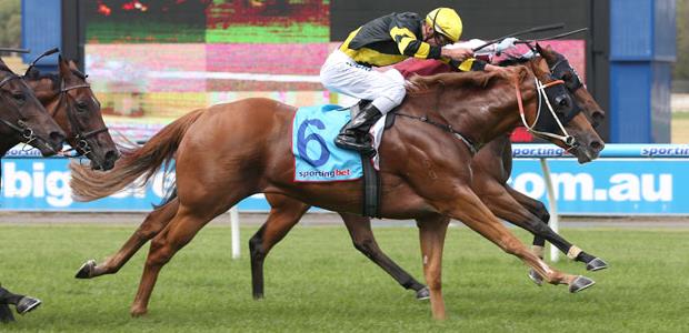 Laohu - Sandown - 19/02/2014