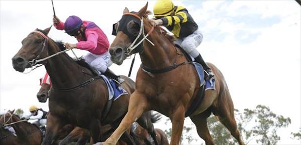 Laohu - Bendigo - 15/03/2014