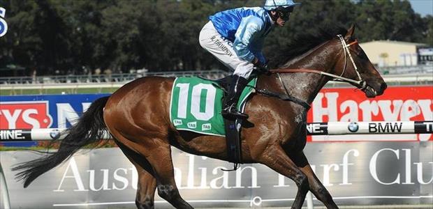 Zephyron - Rosehill - 26/10/2013
